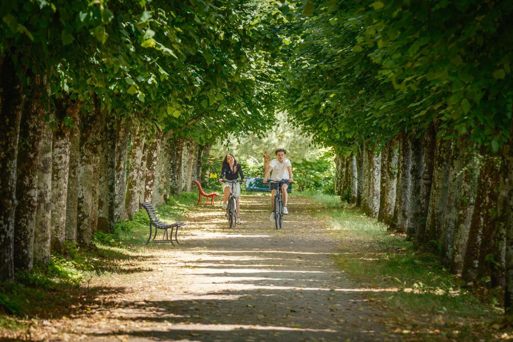Chateau De Rochecotte Saint-Patrice ภายนอก รูปภาพ